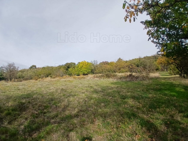 Eladó mezogazdasagi ingatlan, Tapolcán 4.9 M Ft