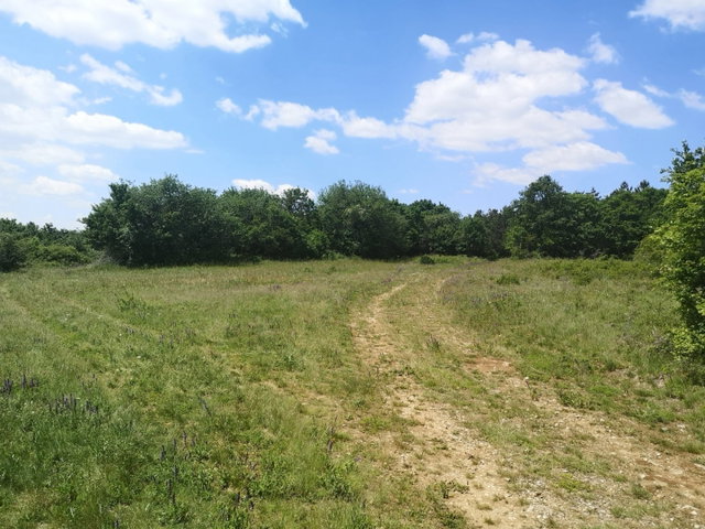 Eladó mezogazdasagi ingatlan, Vászolyon 98 M Ft