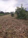 Eladó telek, Balatonszabadiban 17.9 M Ft / költözzbe.hu