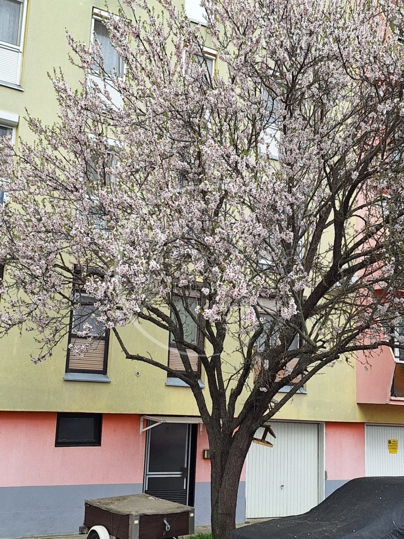 2 bed · 57m² · 47.500.000 ft