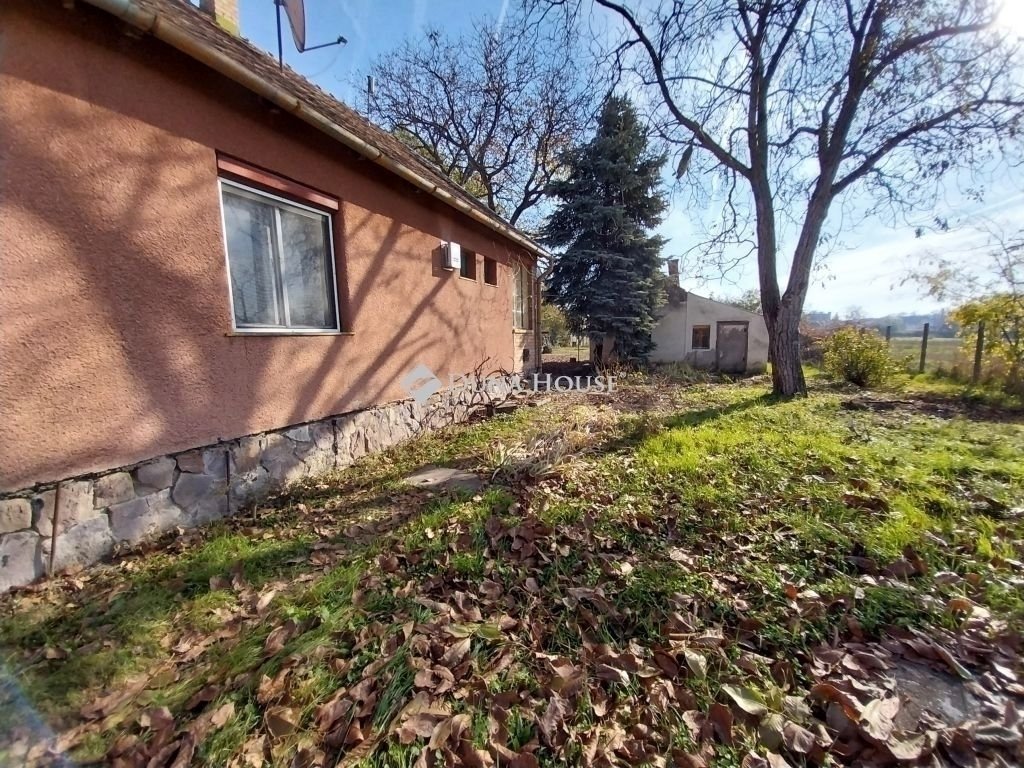 1811m² · 90.000.000 ft