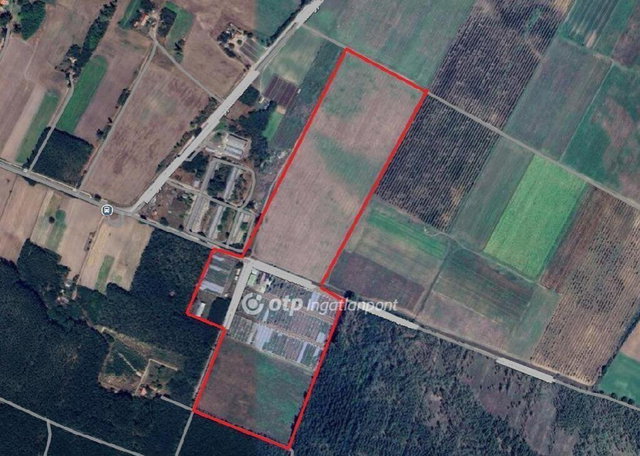 Eladó mezogazdasagi ingatlan, Nyársapáton 320 M Ft