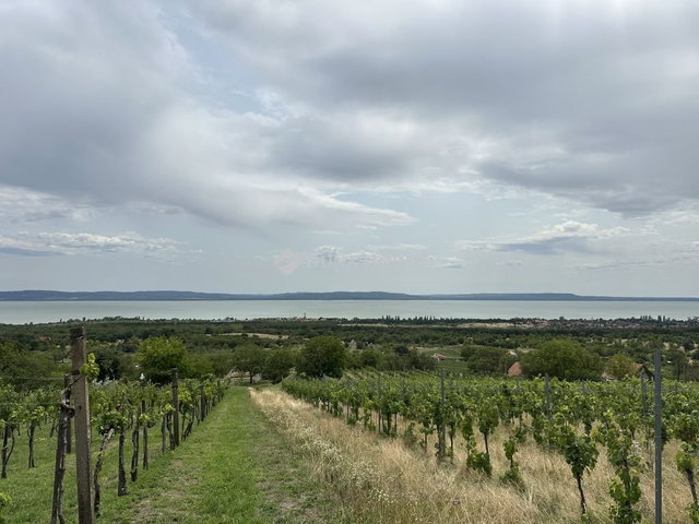 Eladó telek, Balatonakaliban 200 M Ft / költözzbe.hu