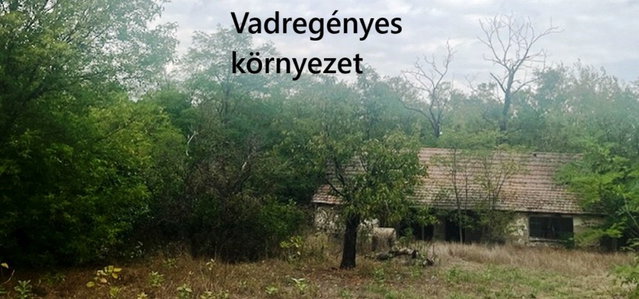 Eladó mezogazdasagi ingatlan, Ágasegyházán 11.9 M Ft