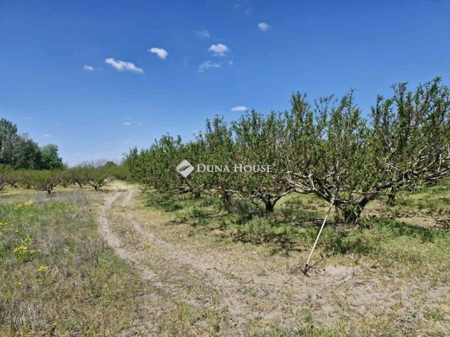 Eladó mezogazdasagi ingatlan, Bordányon 14.6 M Ft
