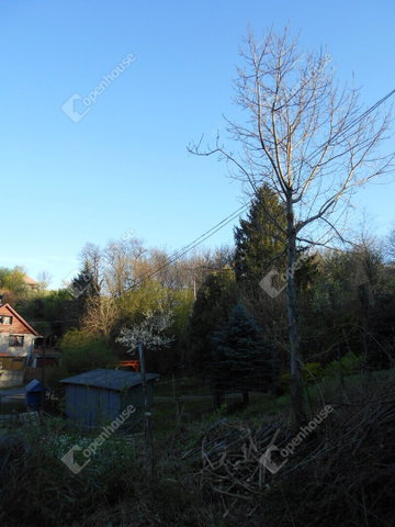 Eladó telek, Zalaegerszegen 9 M Ft / költözzbe.hu