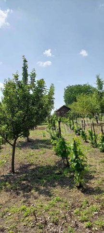 Eladó nyaraló, Kulcson 8.9 M Ft, 1 szobás / költözzbe.hu