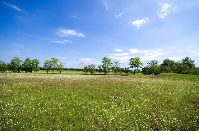Eladó ipari ingatlan, Inárcson 120 M Ft / költözzbe.hu