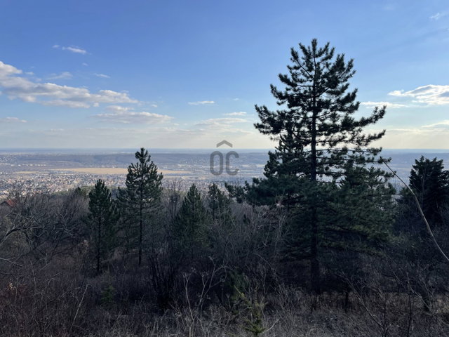 Eladó telek, Budaörsön, Őzike utcában 79.9 M Ft