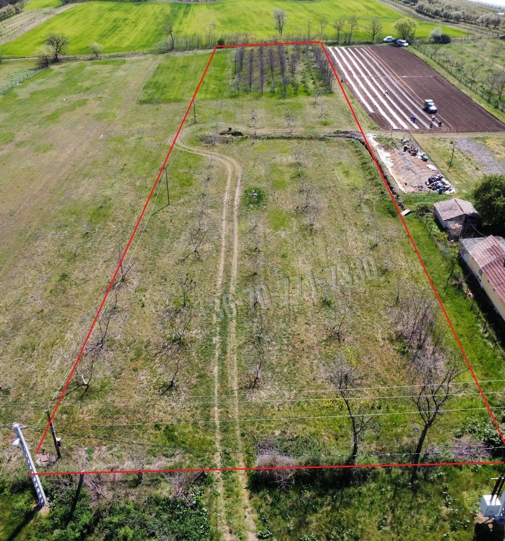 9819m² · 7.900.000 ft