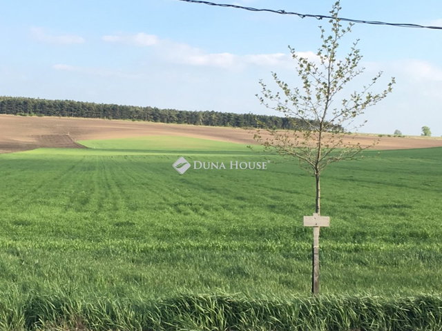 Eladó telek, Etyeken 9.6 M Ft / költözzbe.hu