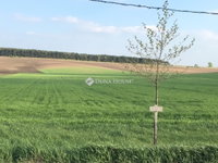 Eladó telek, Etyeken 9.6 M Ft / költözzbe.hu