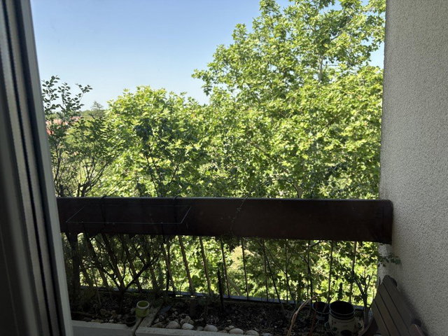 Eladó téglalakás, Hódmezővásárhelyen 41.5 M Ft, 3 szobás