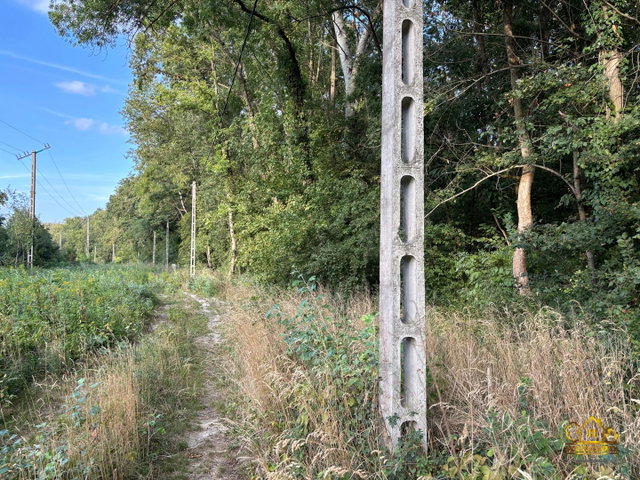 Eladó telek, Kiskunlacházán 135 M Ft / költözzbe.hu