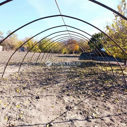 Eladó mezogazdasagi ingatlan, Röszkén 26.5 M Ft, 4 szobás