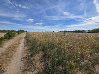 Eladó mezogazdasagi ingatlan, Polgárdin 6.5 M Ft
