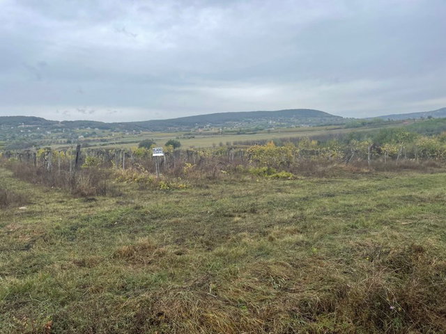 Eladó mezogazdasagi ingatlan, Zánkán 24.951 M Ft