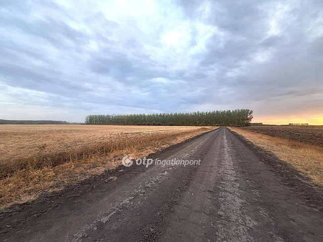 Eladó mezogazdasagi ingatlan, Szeghalmon 60 M Ft