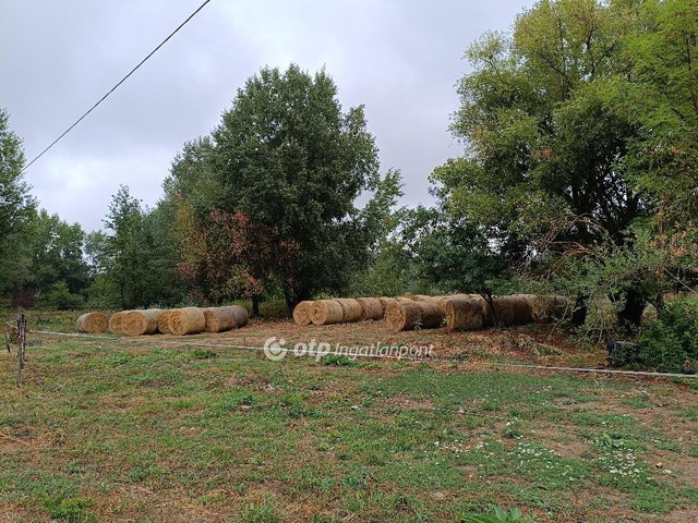 Eladó mezogazdasagi ingatlan, Piliscsabán 90 M Ft