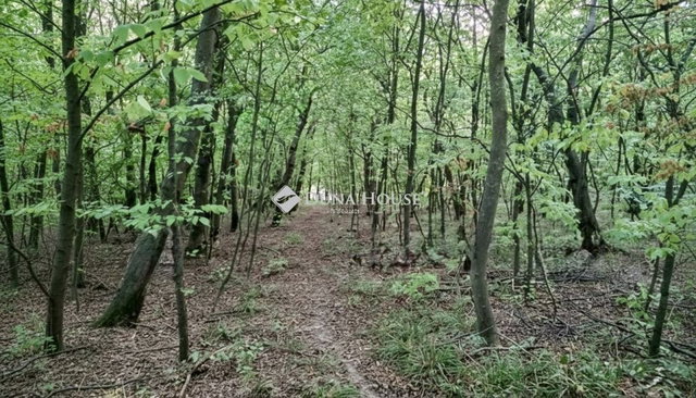 Eladó telek, Alcsútdobozon 25 M Ft / költözzbe.hu