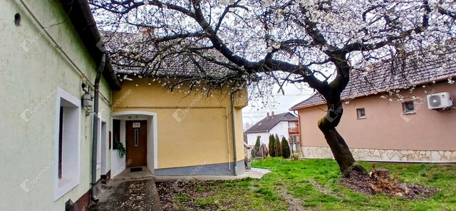 Eladó téglalakás, Galambokon 75 M Ft, 10 szobás