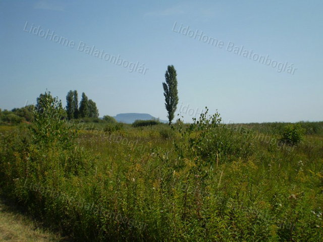 Eladó mezogazdasagi ingatlan, Balatongyörökön 73.4 M Ft