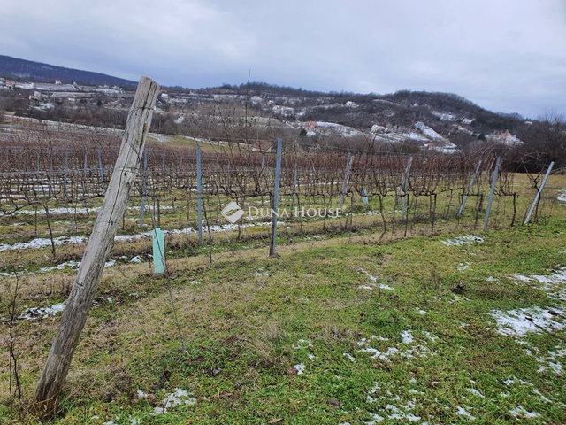Eladó telek, Vászolyon 237.3 M Ft / költözzbe.hu