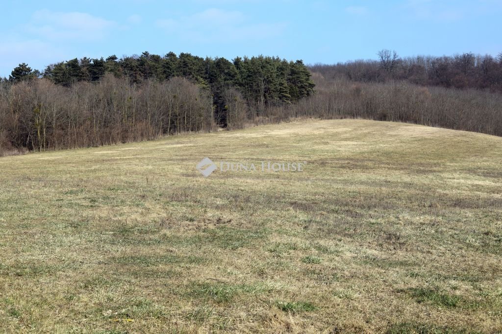 Ipari · 1106 m² · 55.000.000 Ft