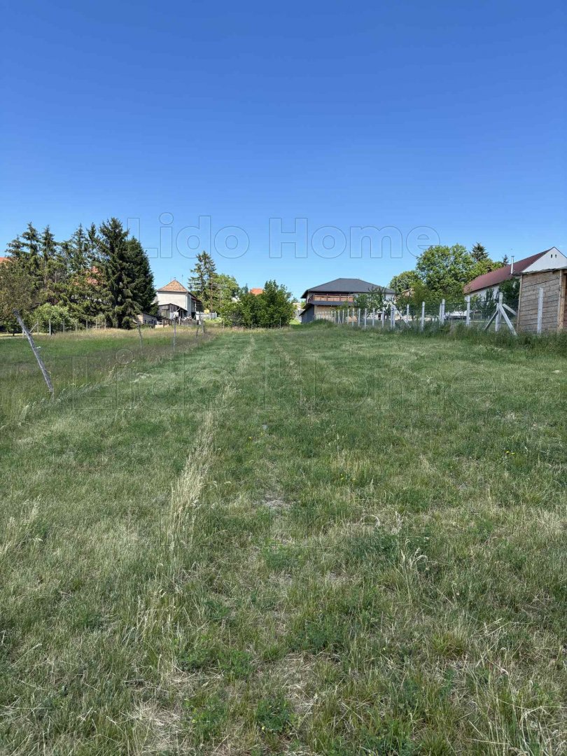 1573m² · 12.000.000 ft