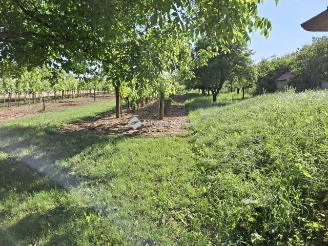 Eladó nyaraló, Gyermelyen 7.9 M Ft, 1 szobás