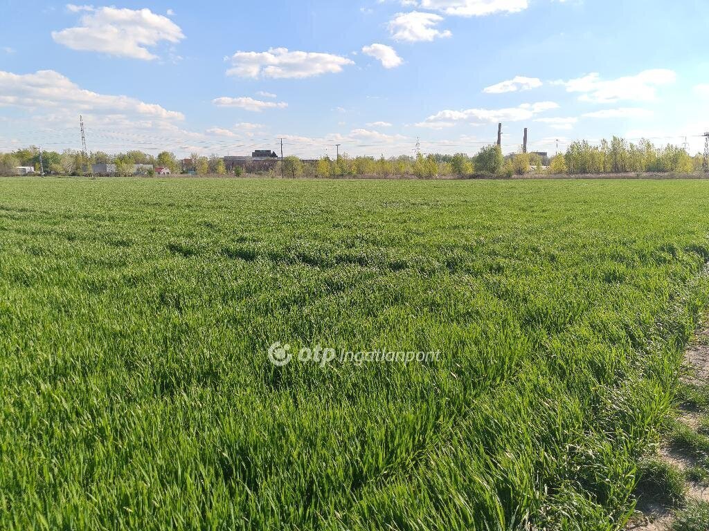 1144m² · 16.900.000 ft