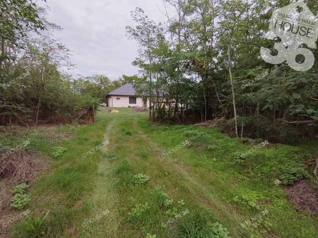 Eladó családi ház, Tiszaalpáron 25.9 M Ft, 5 szobás