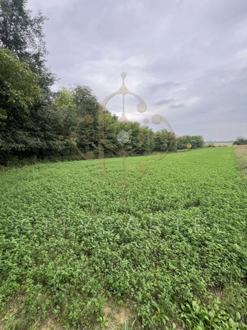 Eladó mezogazdasagi ingatlan, Balatonbogláron 3.5 M Ft