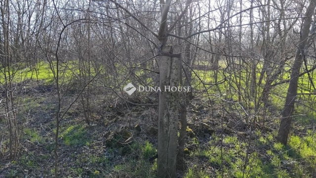 Eladó telek, Kecskeméten 7.7 M Ft / költözzbe.hu