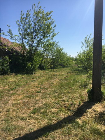 Eladó telek, Nyíregyházán 12.9 M Ft / költözzbe.hu