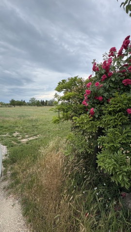 Eladó telek, Balatonkenesén 14 M Ft / költözzbe.hu