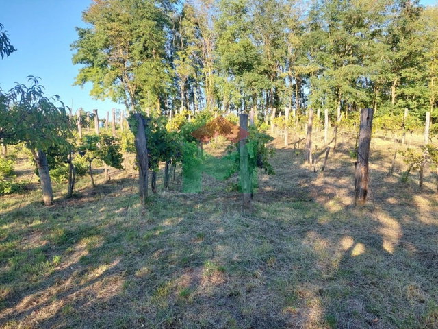 Eladó mezogazdasagi ingatlan, Marcaliban 2.88 M Ft