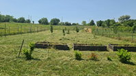 Eladó telek, Balatonkenesén 19.9 M Ft / költözzbe.hu