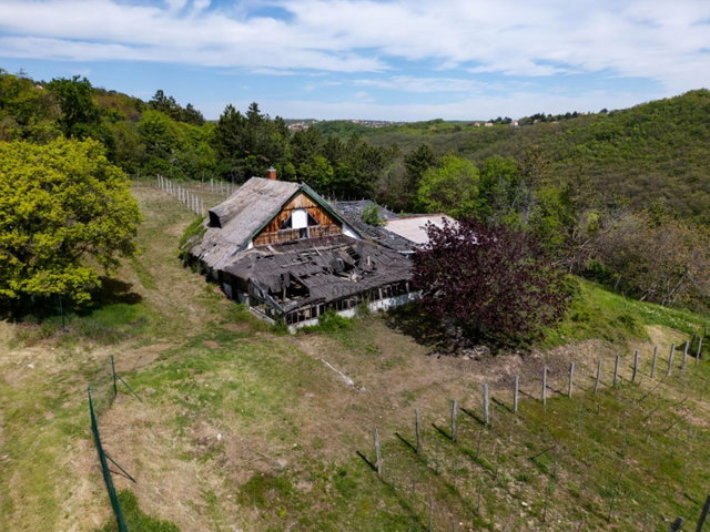 Eladó telek, Lovason 245 M Ft / költözzbe.hu