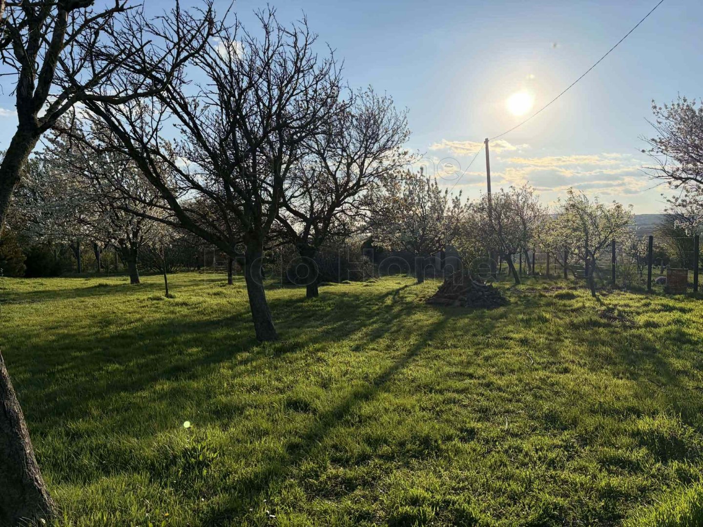 1650m² · 13.990.000 ft