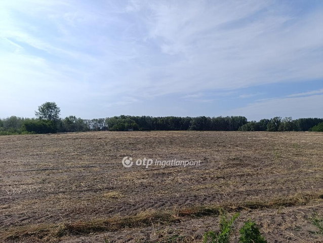 Eladó mezogazdasagi ingatlan, Pusztamérgesen 23.7 M Ft