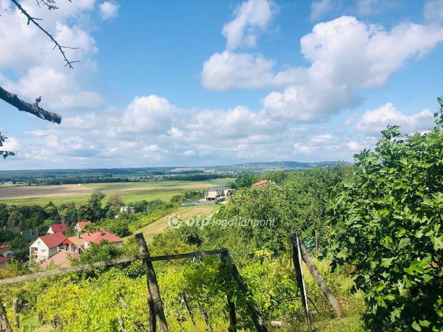 Eladó telek, Ajkán 23 M Ft / költözzbe.hu