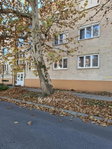 Eladó téglalakás, Hajdúböszörményen 65 M Ft, 2 szobás