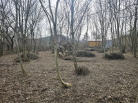 Eladó telek, Dunabogdányban 24.9 M Ft / költözzbe.hu