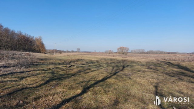 Eladó mezogazdasagi ingatlan, Hosszúpályin 249 M Ft