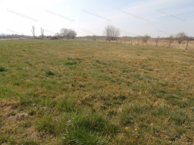 Eladó mezogazdasagi ingatlan, Balatonbogláron 21.5 M Ft