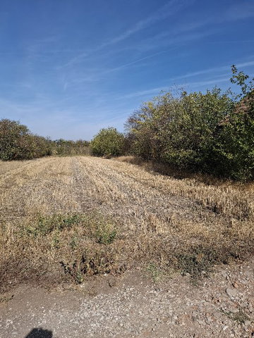 Eladó telek, Hajdúszoboszlón 1.3 M Ft / költözzbe.hu