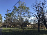 Eladó telek, Gyűrűsön 2.9 M Ft / költözzbe.hu