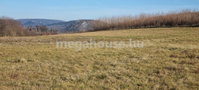 Eladó mezogazdasagi ingatlan, Törökbálinton 14.9 M Ft