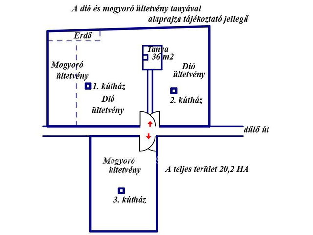 Eladó mezogazdasagi ingatlan, Cegléden 99.99 M Ft